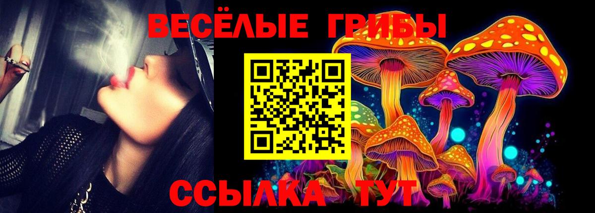 Дмитров  Галлюциногенные грибы ЛСД  Вход с VPN 